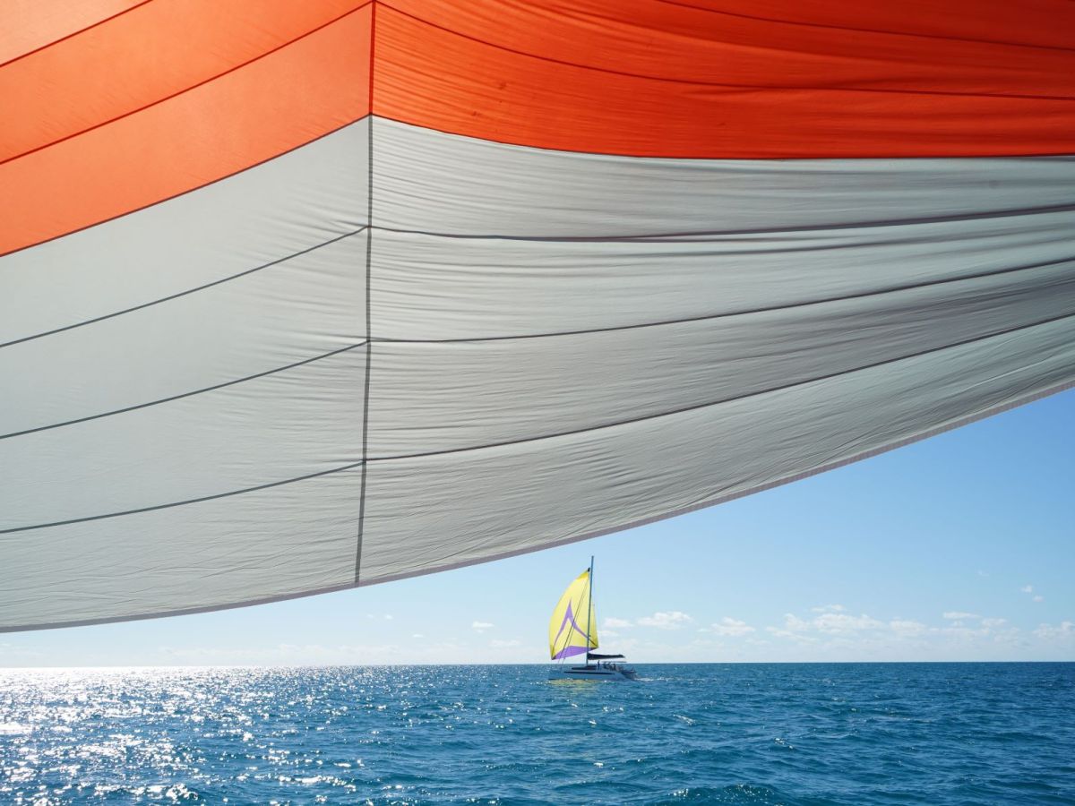 #11 Racing catamarans